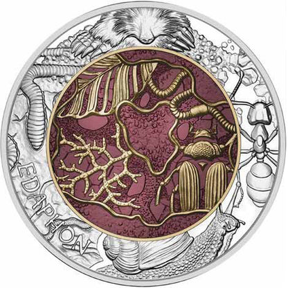 25 EURO Rakúsko 2024 - Edaphon