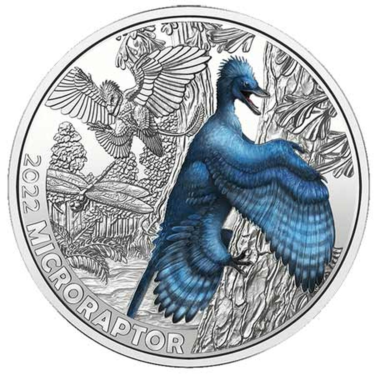 3 EURO Rakúsko 2022 - Microraptor Gui